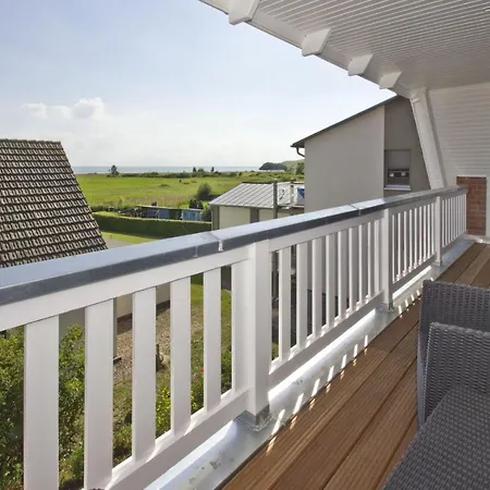 Zaunkoenig Im Obergeschoss Groß Zicker