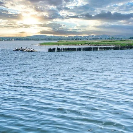 Zaunkoenig Im Obergeschoss Groß Zicker