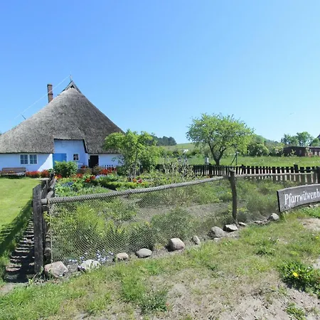 Zaunkoenig Im Obergeschoss * Groß Zicker