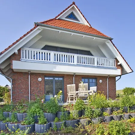 Zaunkoenig Im Obergeschoss *